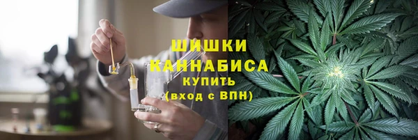 шишки Алзамай