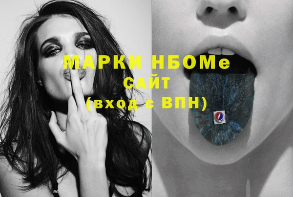 шишки Алзамай