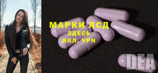 СК Алексин